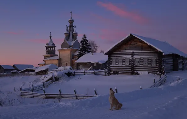 Picture dog, snow, Church, nature, winter, home, village, Kimzha