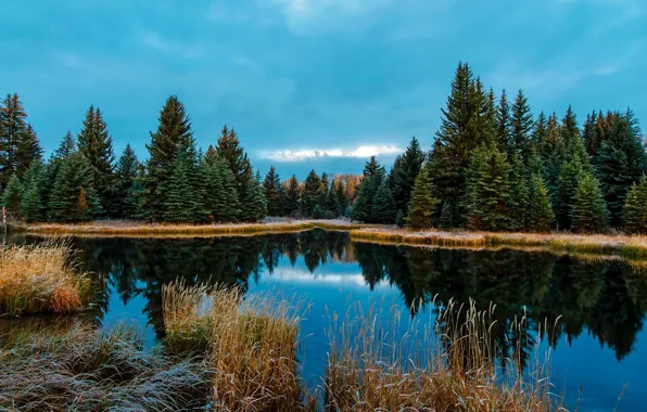 Frost, autumn, forest, grass, trees, lake, Wyoming, USA