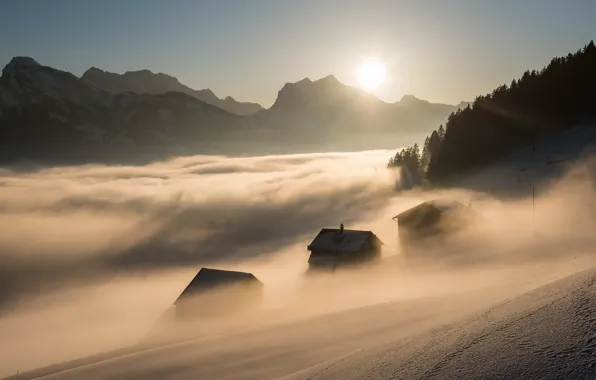 Picture light, mountains, fog, morning