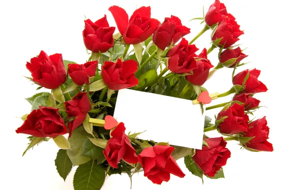 Picture photo, Flowers, Red, Bouquet, Roses