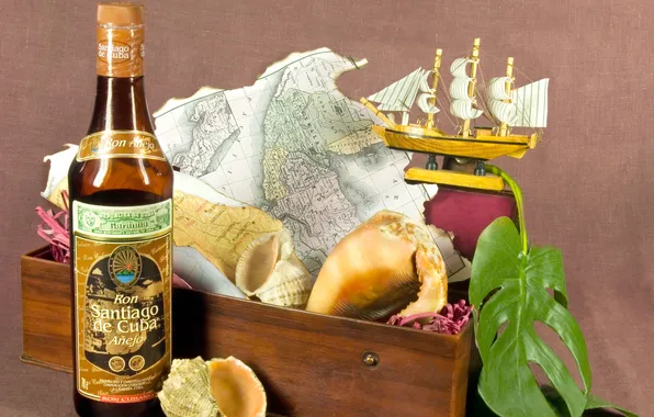 Picture greens, background, sailboat, box, shell, rum, Rapana, charred map