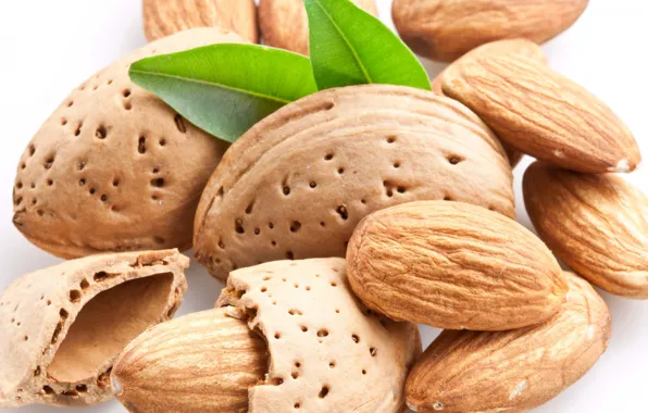 Macro, walnut, almonds