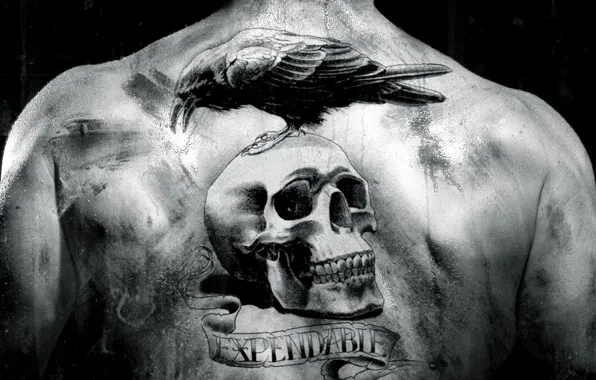The film, back, skull, black and white, tattoo, Raven, The Expendables, the expendables