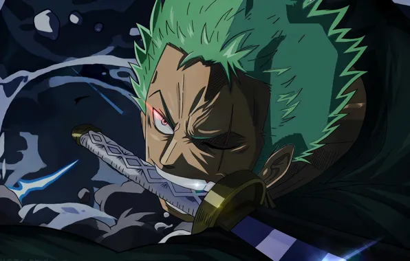 Sword, guy, One Piece