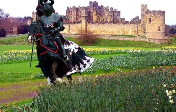 Field, castle, armor, knight, spear, armor, horse, grass. flowers