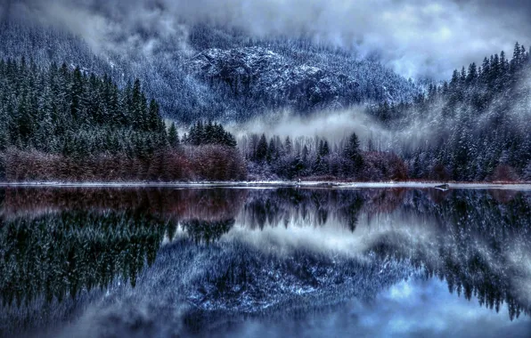 Picture winter, snow, nature, fog, lake