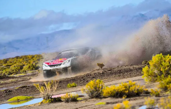 Water, Sport, Speed, Race, Peugeot, Squirt, Lights, Red Bull