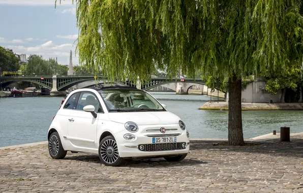 Fiat, Fiat, 2015, 500C