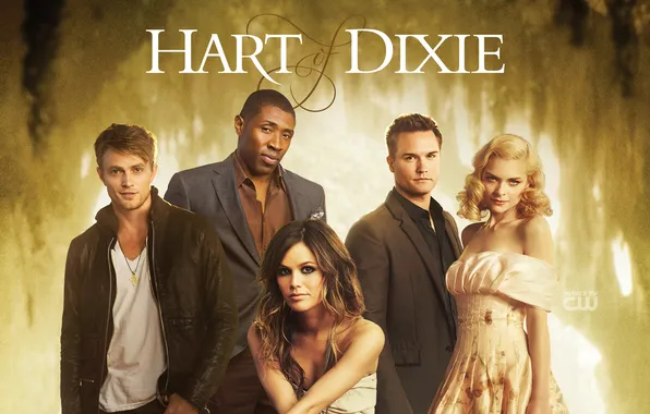 The series, heart of Dixie, Rachel Bilson, Hart of Dixie, rachel bilson