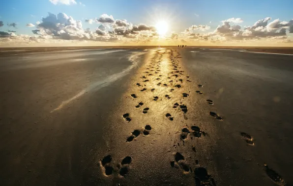 Sand, traces, shore