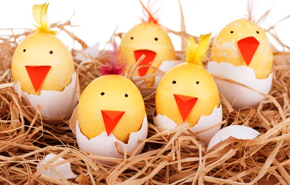 Picture eggs, socket, smile, smile, Easter, eggs, funny