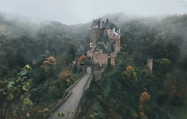 Autumn, forest, trees, castle, Germany