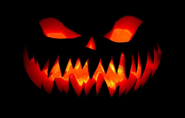 Picture Halloween, holiday, pumpkin, All Saints' Eve