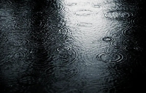 Cold, drops, nature, rain, black and white, puddle