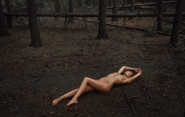 Chest, trees, nature, pose, model, naked, body, figure