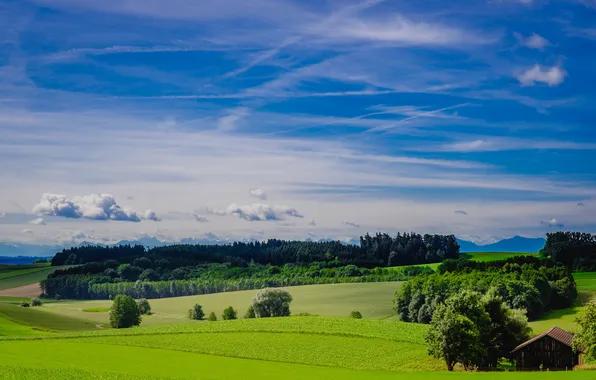 Picture field, the sky, grass, clouds, trees, green, valley, the barn