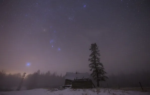 The sky, stars, fog, house, tree