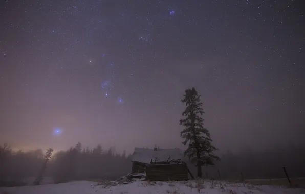 Picture the sky, stars, trees, fog, home