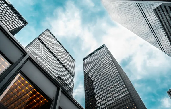 Fog, The city, Skyscrapers, Building, The building, City, Sky, Architecture