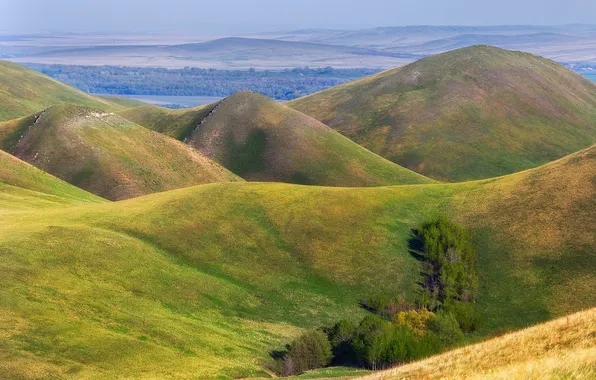 Grass, trees, landscape, hills