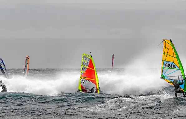 Speed, boats, race