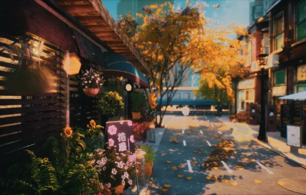 Autumn, flowers, the city, road, train