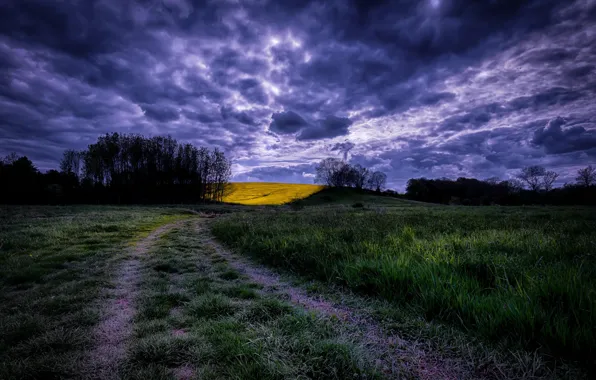 Road, field, morning