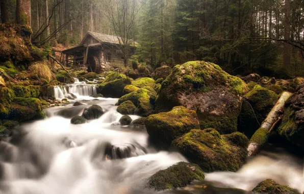 Forest, river, stones, moss, Austria, haze, waterfalls, water mill