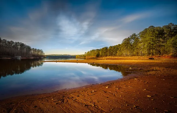 Forest, beach, the sky, clouds, lake, shore, pine, pond
