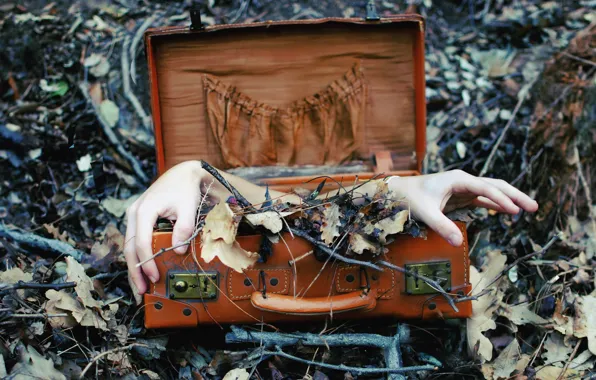 Picture background, hands, suitcase