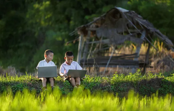 Field, landscape, child
