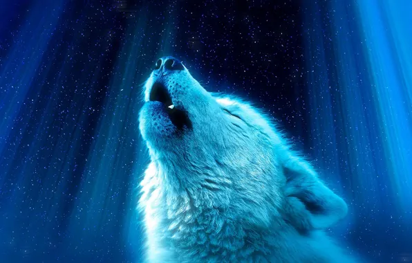 Rays, background, wolf