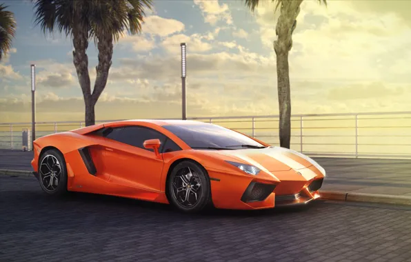 Lamborghini, Orange, LP700-4, Aventador, Summer, Supercar, Palms, Ligth