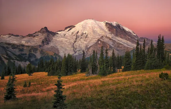 Picture forest, the sky, grass, trees, mountains, dawn, meadow, USA