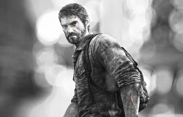 Picture beard, The Last of Us, Joel