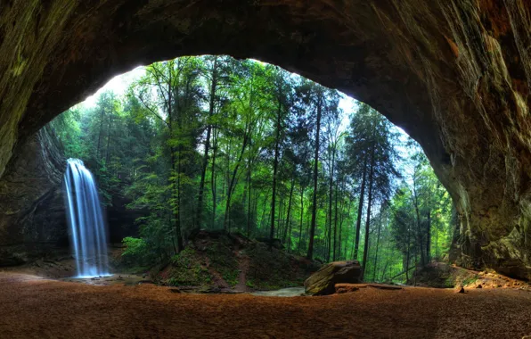 Picture forest, trees, landscape, nature, photo, water, rocks, sand