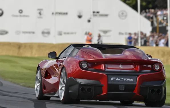 Ferrari, Ferrari, F12, F12, 2014, TRS