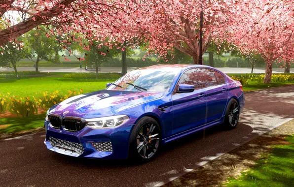 Sakura, BMW, Rain, BMW, Sakura, M5 Competition, Forza Horizon 4, BMW M5 F90