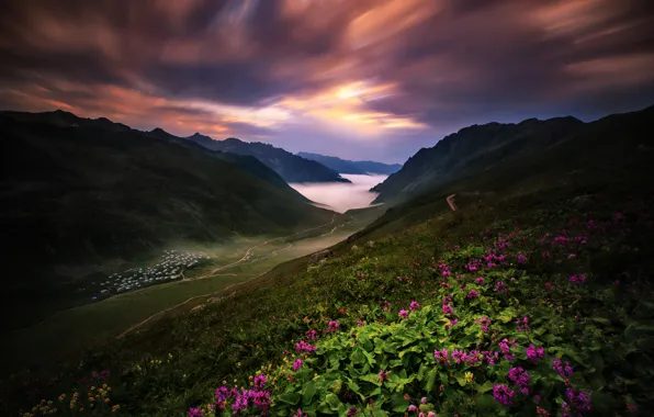 Picture flowers, mountains, the slopes, valley