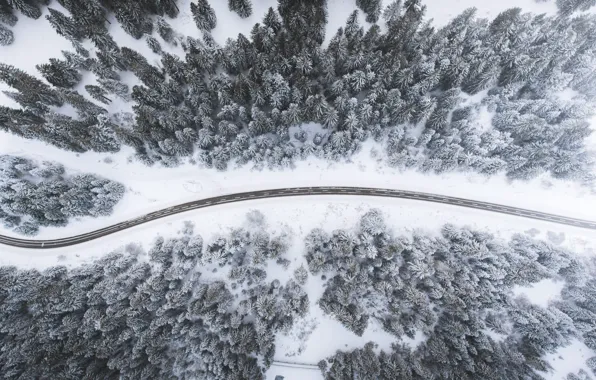Winter, road, forest, Switzerland, Switzerland, winter road