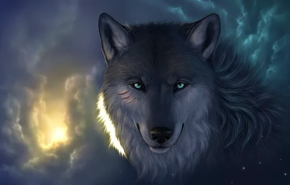 Picture look, face, stars, clouds, light, wolf, cuts