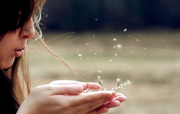 Girl, the wind, hair, palm, blowing