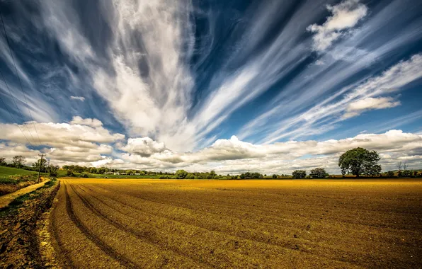 Field, the sky, nature