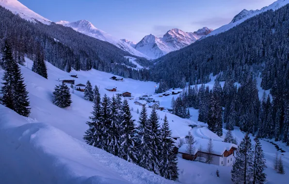 Picture winter, forest, snow, mountains, Switzerland, ate, village, Alps