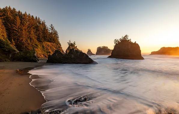 Beach, Summer, Coast, Coast, Beach, Reef, Summer, Sunlight