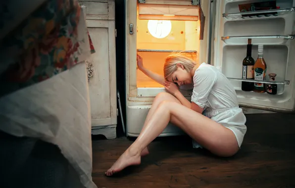 Picture girl, refrigerator, legs, Andrey Vasilyev, Victoria Sokolova