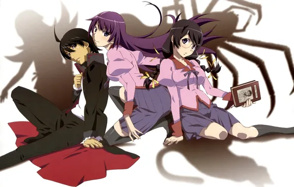 Girls, anime, art, guy, Bakemonogatari
