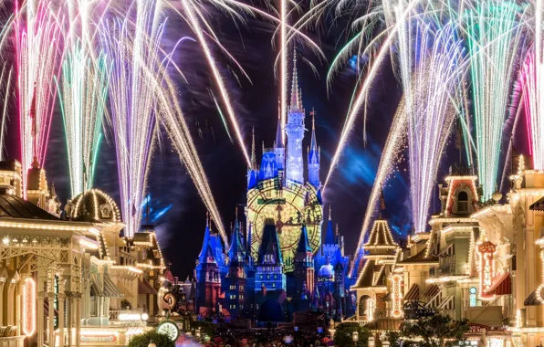 The city, castle, the crowd, salute, Disneyland
