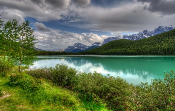 Forest, the sky, landscape, mountains, nature, lake, USA, Banff