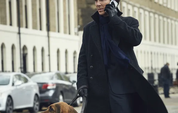 Background, dog, Sherlock Holmes, smartphone, Benedict Cumberbatch, Benedict Cumberbatch, Sherlock, Sherlock BBC